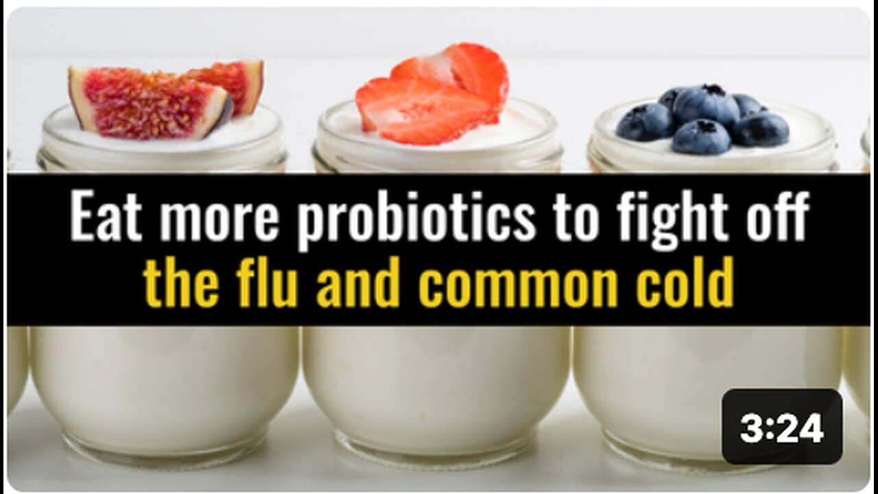 Eat more probiotics to fight off the flu and common cold