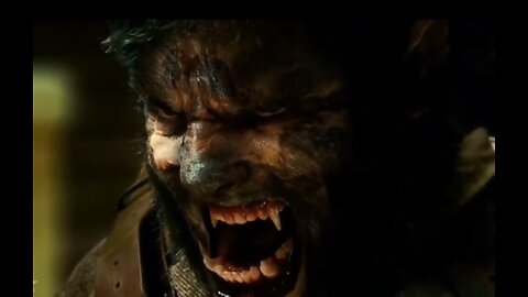 LOBO HOMEM