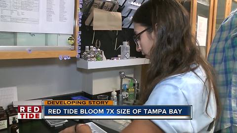 When will red tide go away? FWC is working to stop it