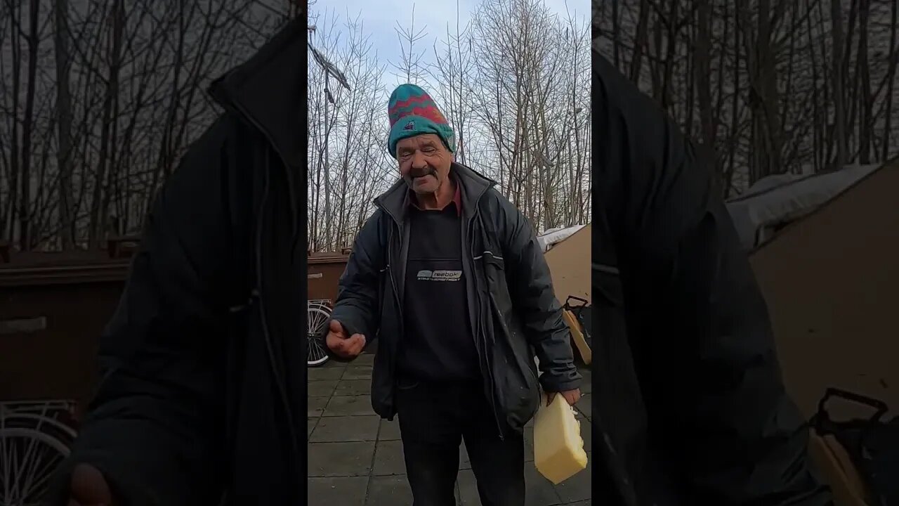 Life in Polish village be like...