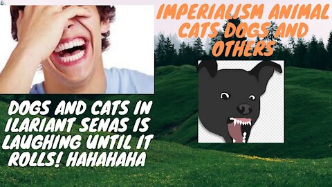 DOGS AND CATS IN ILARIANT SENAS IS LAUGHING UNTIL IT ROLLS! HAHAHAHA