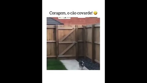 😂PURA CORAGEM😂 ( VOLTEI ) SE INSCREVE NO CANAL TAMO PERTO DOS 100 INSCRITOS 🙏