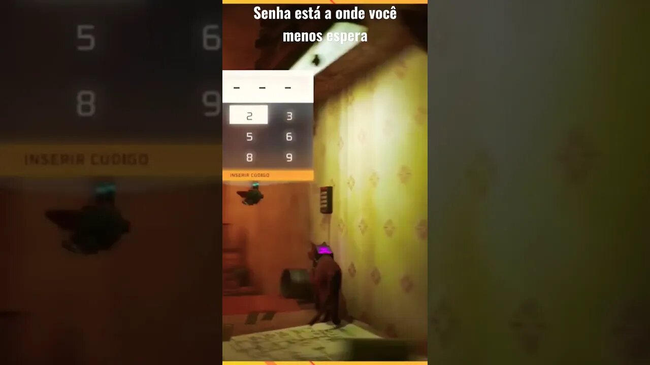 STRAY SENHA DA PORTA ESTÁ NOS RELÓGIOS