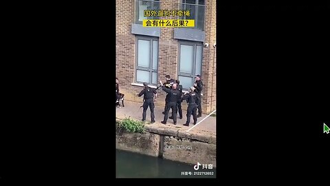 🟨 為什麼要殺那兩條狗？