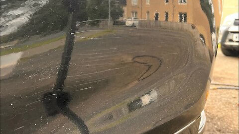 Wet sanding scratches from bush damage on a black car