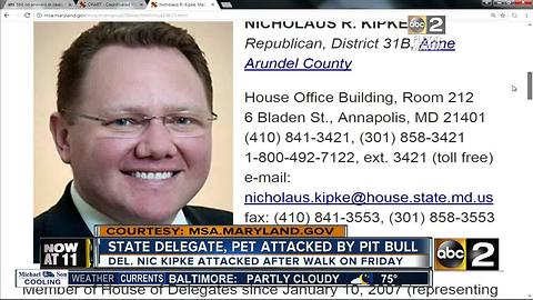 State Delegate attacked by pit bull