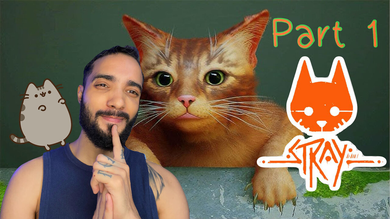 I'm a dog person... idk about cats | Stray | Part 1 (Requested)