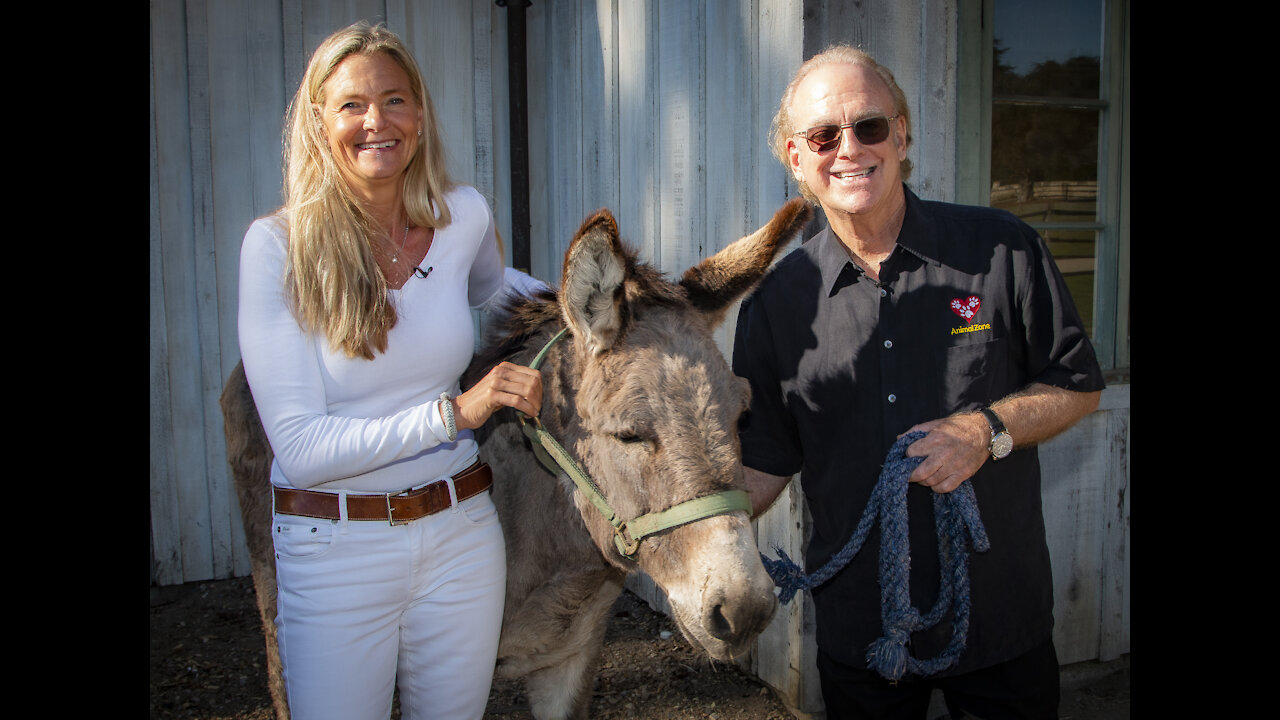 Season 5, Episode 2: Featuring Andrea Kutsch, Das Horse Professor