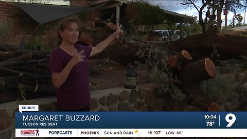 Neighborhood comes together to help woman pick up massive tree after Friday’s storm