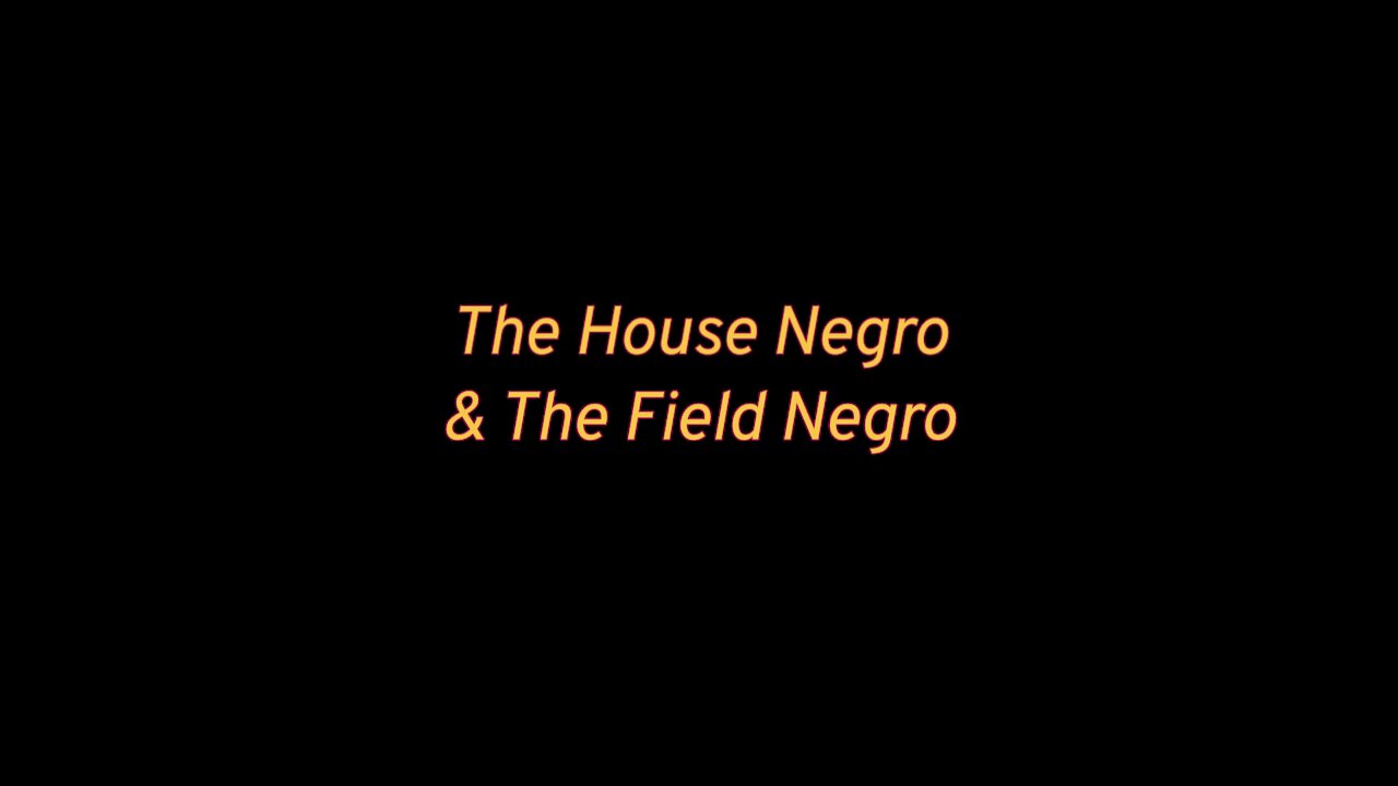 The House Negro and the Field Negro