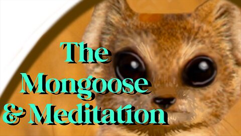 The Mongoose and the Meditation