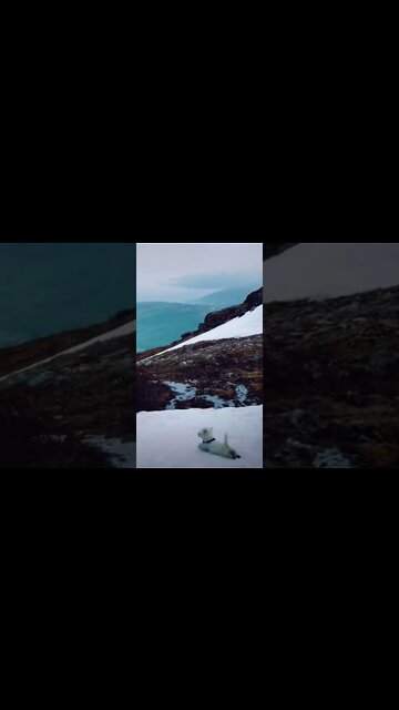 Gliding meditation -Newest Technique which helps with lower back pain