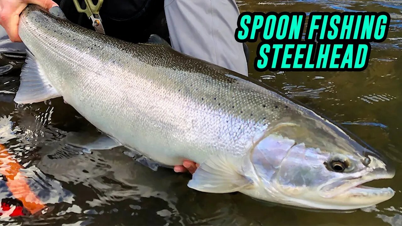 FISHING For STEELHEAD With SPOONS, In Depth How To