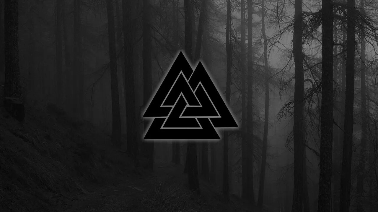 StijnFawkes Zoom Livestream (TEST!)