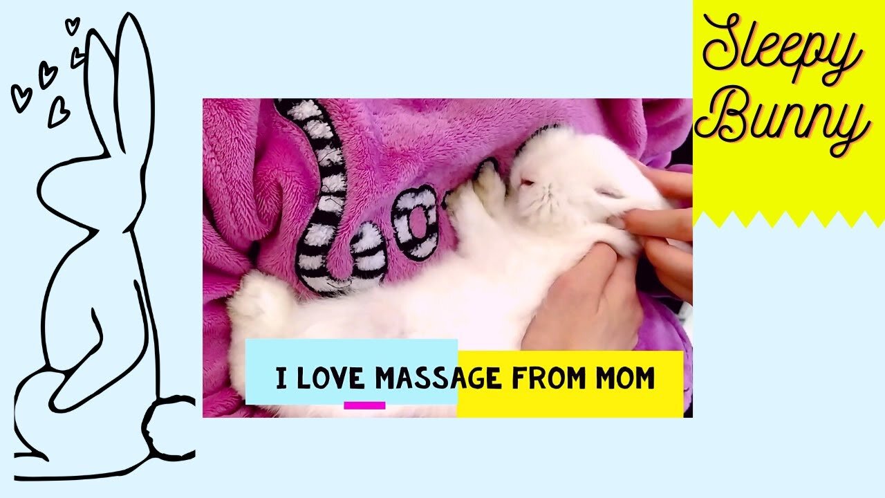 Cute Rabbit Gets Ultimate Massage From Its Owner | Super Sleepy Bunny🐇