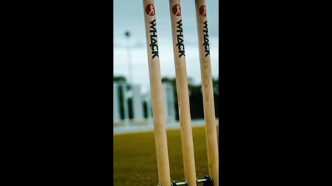 cricket love