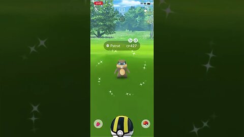 Shiny compilation