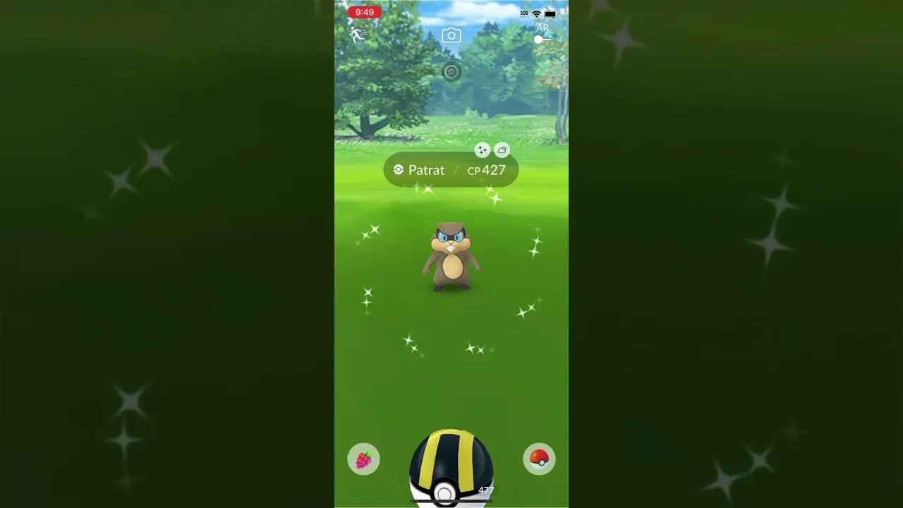 Shiny compilation