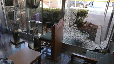 DEAR WOLFGANG: Revisiting Sandy Hook Investigation Documentary