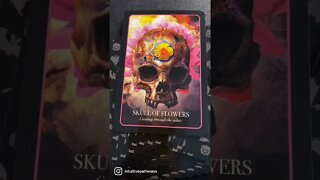 Pick-A-Deck Tarot Reading || All Signs #shorts30