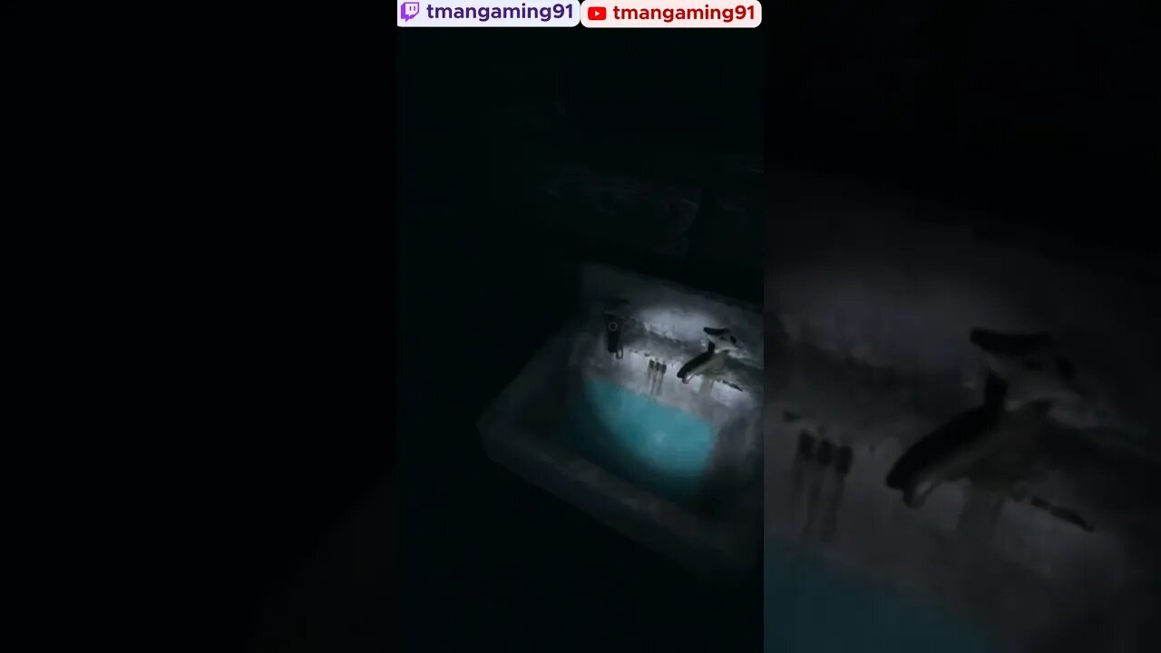 I Can Turn The Sink On