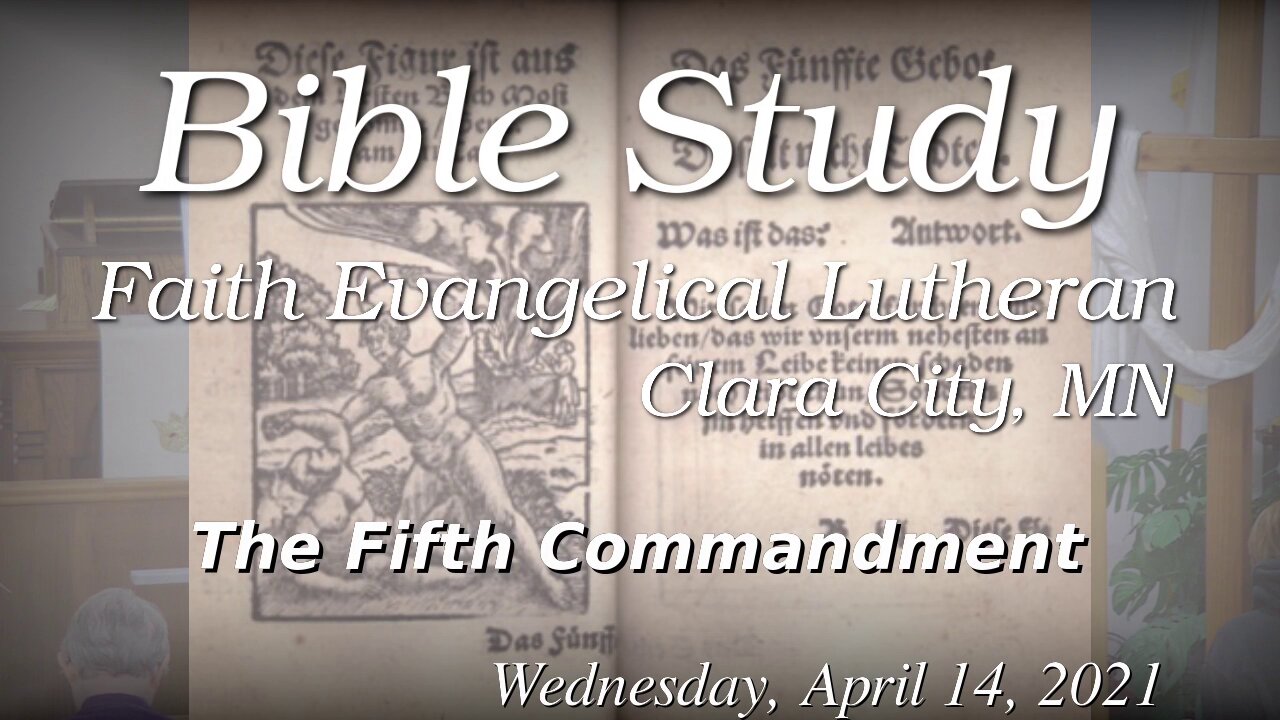Bible Study: The Fifth Commandment