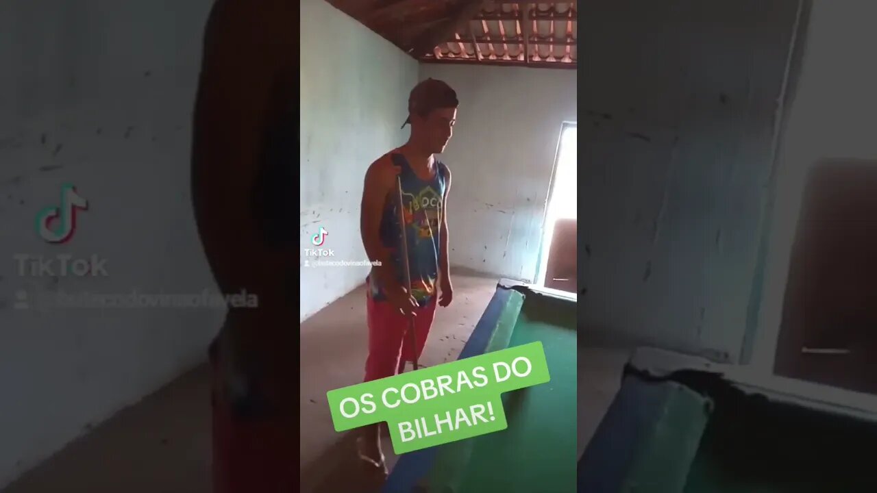 OS COBRAS DO BILHAR