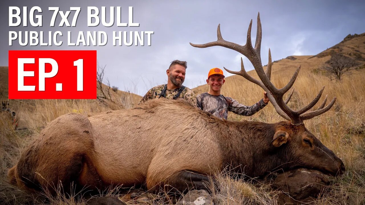 BIG 7x7 BULL ELK | PUBLIC LAND HUNT