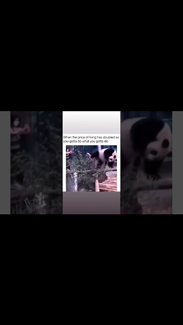 I Got To Do What I Got To Do #funny #friday #me #humor