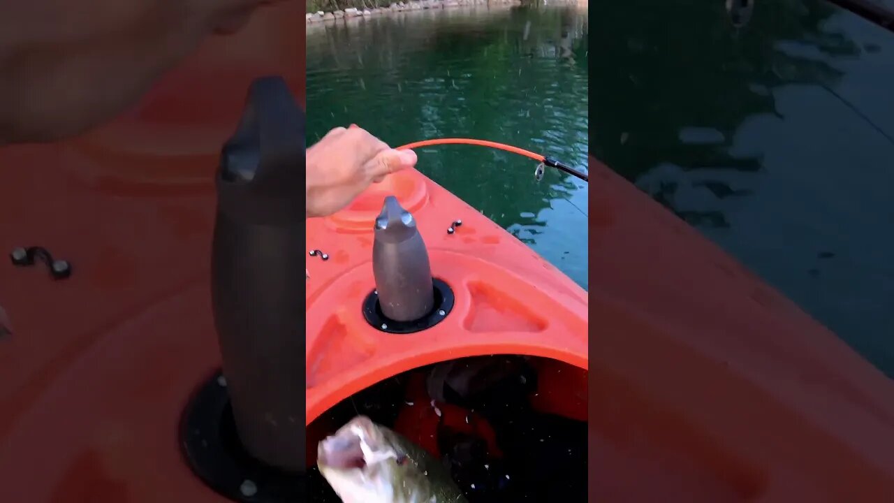 bass catch