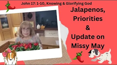 Jalapenos, Priorities & Update on Missy May 🌶️🐶