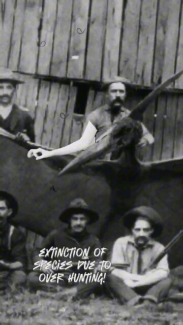 Life at the turn of the 19th century was just as it is today!