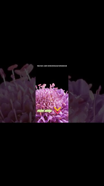 💸 Manifestando Riqueza a la Velocidad de la Luz: Música de Meditación para el Éxito y Abundancia✨🔮