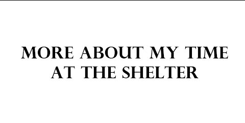 More about my time at the shelter.