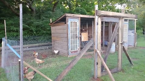 Chicken run is finished. Preparing for Economic Collapse 2022 and or 2023.