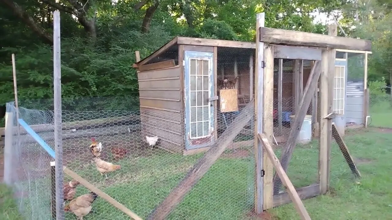 Chicken run is finished. Preparing for Economic Collapse 2022 and or 2023.