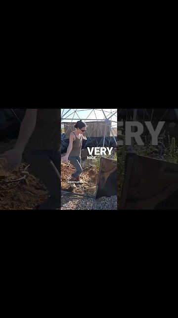 Our Geodesic Dome Door #shortshorts #offgrid #shorts