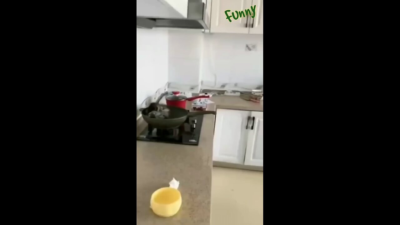 "Fur-tastic Fails: Hilarious Pet Antics That Will Make Your Day! πΎπ#AnimalLovers"
