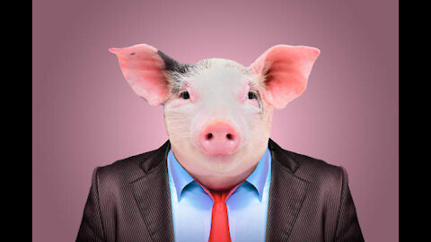 China creating "Humanized Pigs", Assange Suffers Stroke, NLRB Employee Charged With Wire Fraud