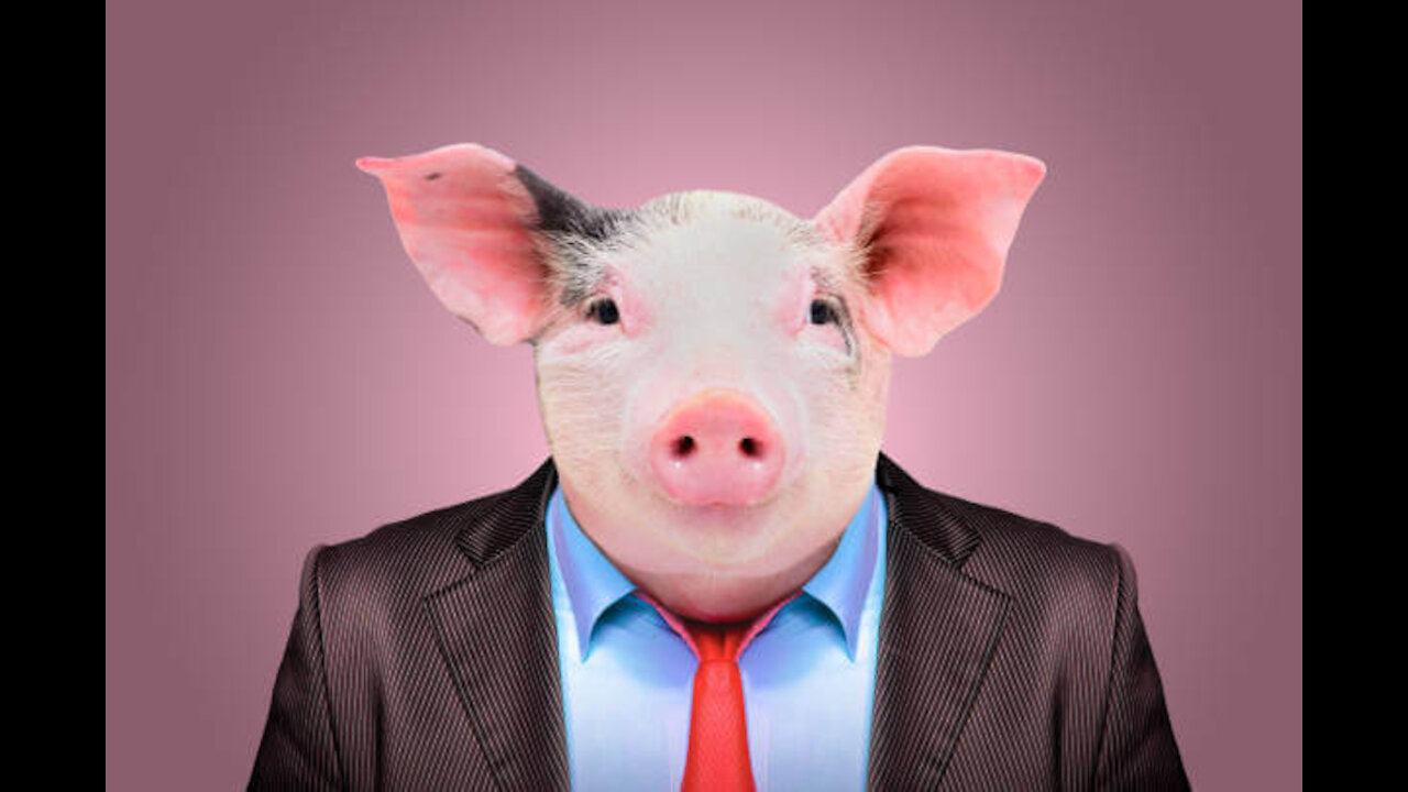 China creating "Humanized Pigs", Assange Suffers Stroke, NLRB Employee Charged With Wire Fraud