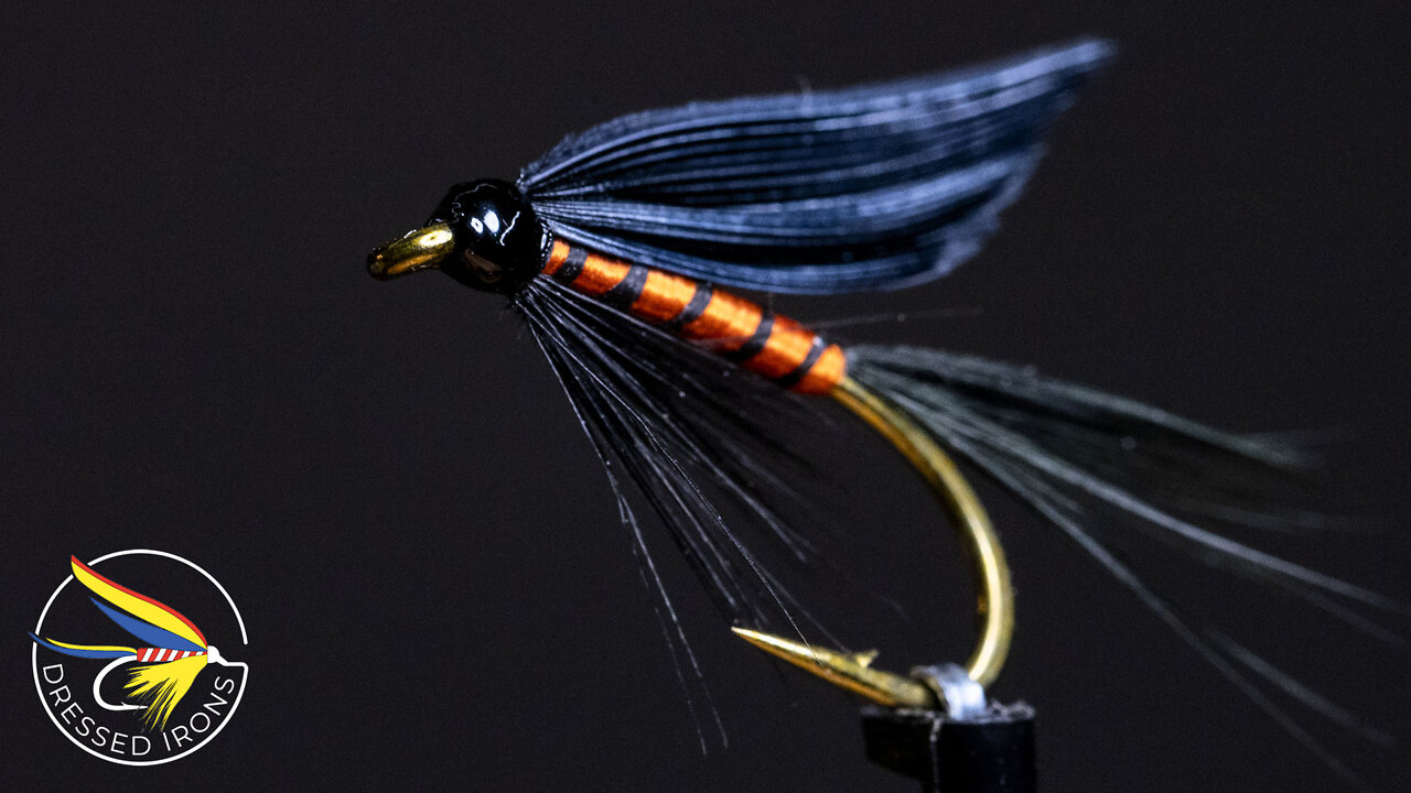 Tying The Black & Orange - Dressed Irons