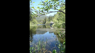 A Day at Lake Fulmor