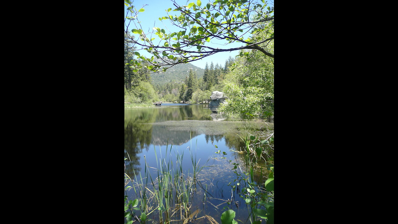 A Day at Lake Fulmor