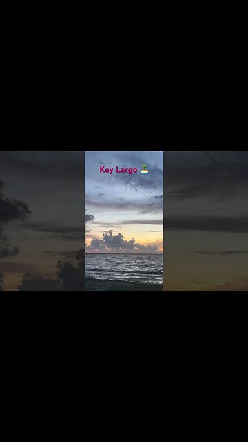 Amazing 🏝️ #keylargo