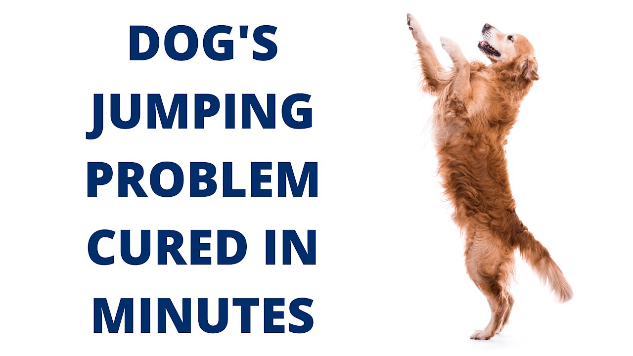 Jumping Problem of the Dog solved with in 1 Hour
