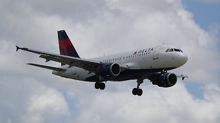 Delta Tightens Its Emotional Support Animal Policy