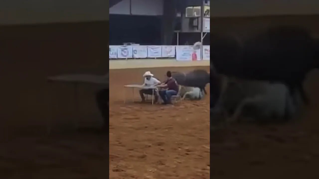 If you gonna be dumb you gotta be tough