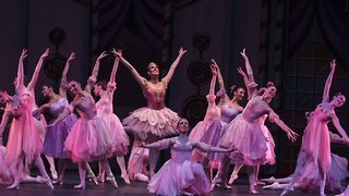 Ballet Theatre of Maryland