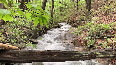 Mountain Stream Water Flow