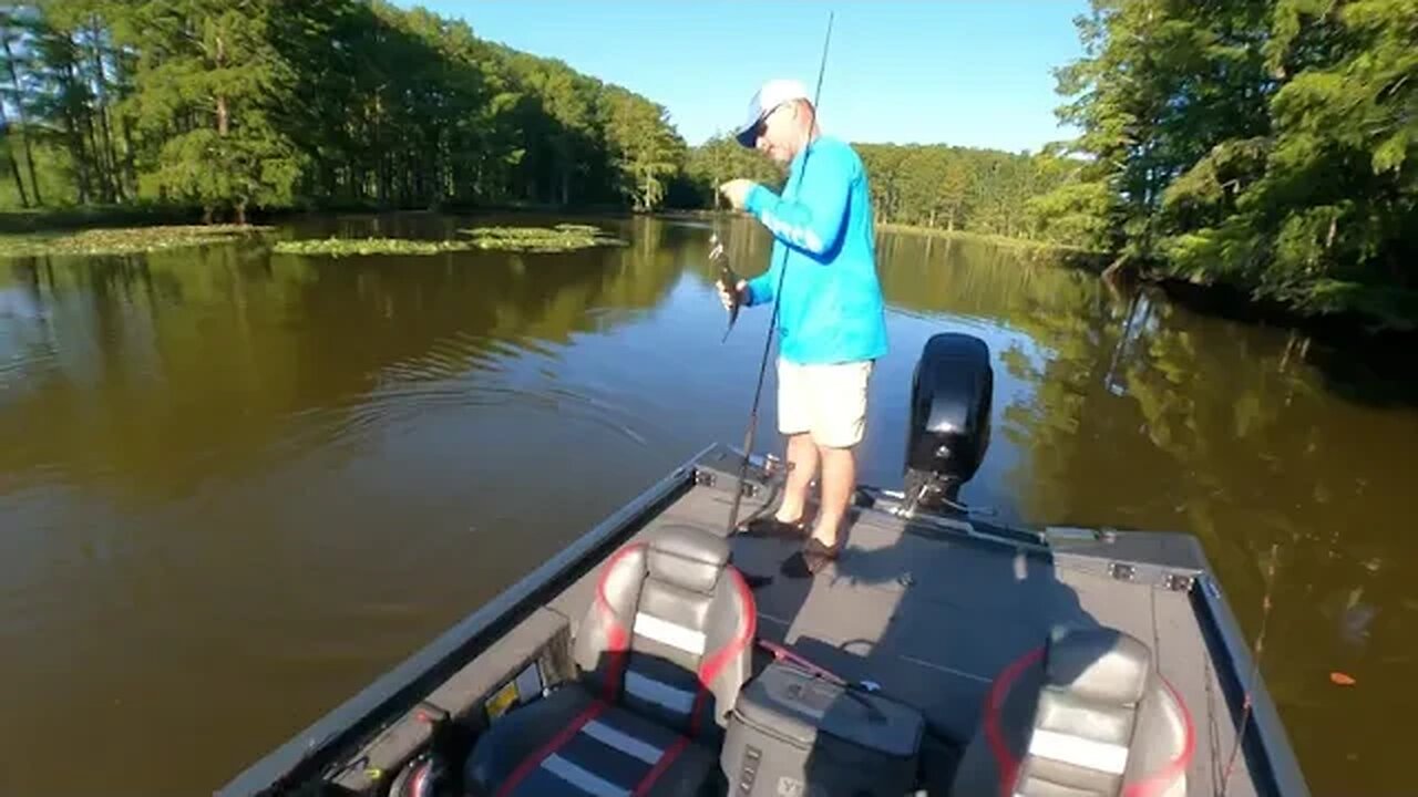 Buzzbaits for Bass